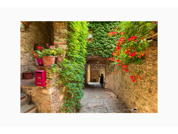 chianti fiorentino photo tour with andrea bonfanti ph.