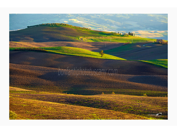 paesaggio della val d'orcia in zona pienza.jpg