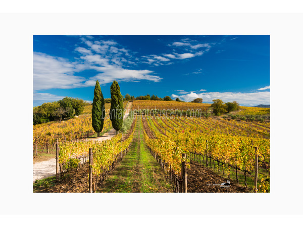 chianti fiorentino photo tour with andrea bonfanti ph.