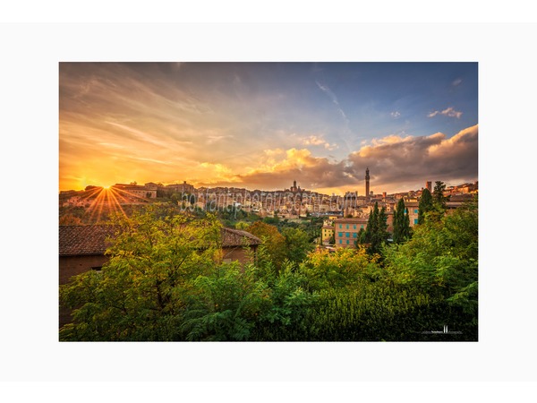 siena walking tour with andrea bonfanti