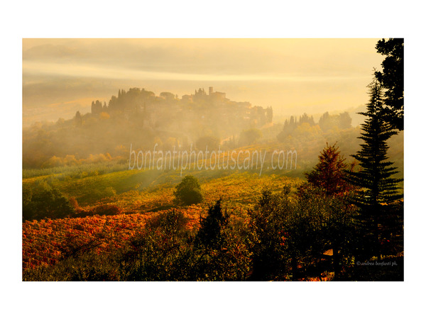 chianti fiorentino photo tour with andrea bonfanti ph.