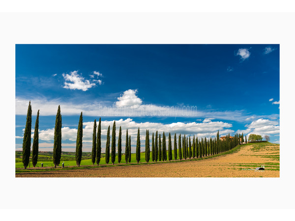 tuscany photo tour val d'orcia landscapes with a.bonfanti ph.