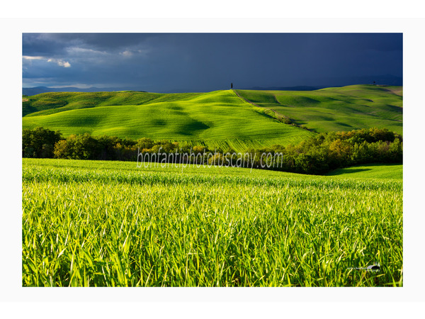 crete senesi landscapes photo tour with andrea bonfanti ph.