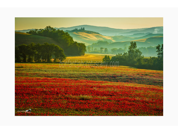 crete senesi landscapes photo tour with andrea bonfanti ph.