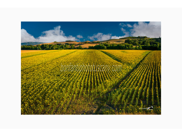 crete senesi alternate take photo tour © andrea bonfanti ph.