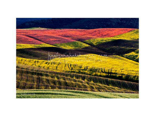 tuscany photo tour val d'orcia landscapes with a.bonfanti ph.