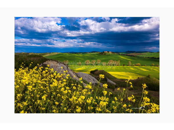 crete senesi landscapes photo tour with andrea bonfanti ph.
