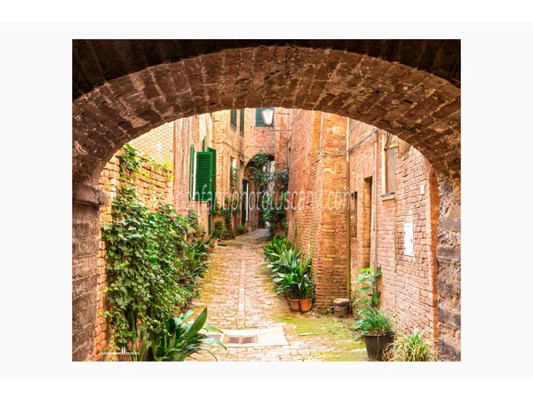 siena photo walk © andrea bonfanti ph.