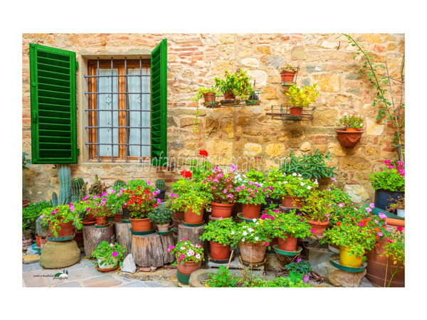 chianti fiorentino photo tour with andrea bonfanti ph.