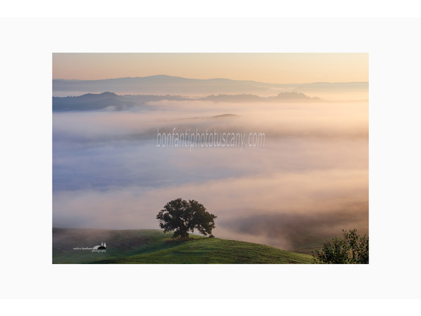 crete senesi landscapes photo tour with andrea bonfanti ph.