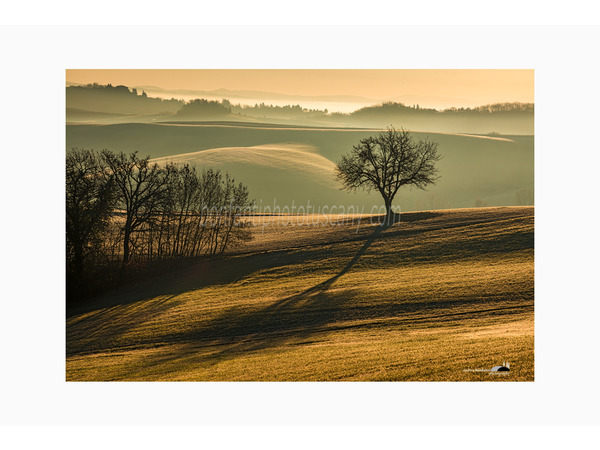crete senesi alternate take photo tour © andrea bonfanti ph.