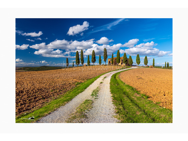 strada di campagna verso un casolare di pienza.jpg