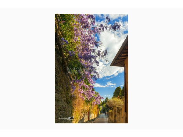 Tuscany Photo Tour The Hills Of Florence