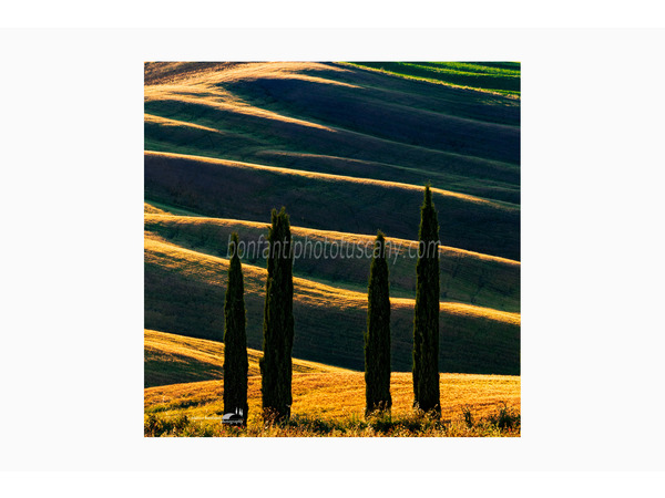 crete senesi landscapes photo tour with andrea bonfanti ph.