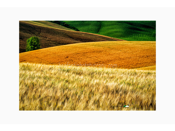 crete senesi alternate take photo tour © andrea bonfanti ph.