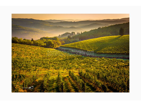 chianti fiorentino photo tour with andrea bonfanti ph.