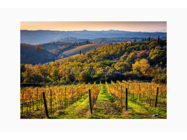 chianti fiorentino photo tour with andrea bonfanti ph.