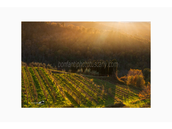 chianti fiorentino photo tour with andrea bonfanti ph.