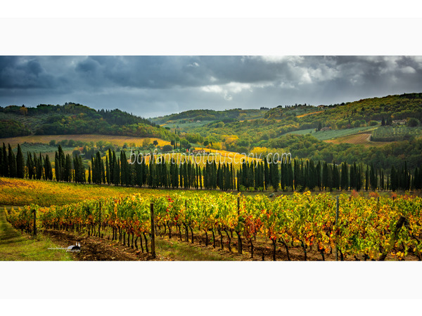 chianti fiorentino photo tour with andrea bonfanti ph.