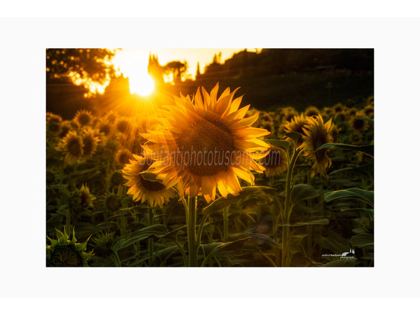 crete senesi alternate take photo tour © andrea bonfanti ph.