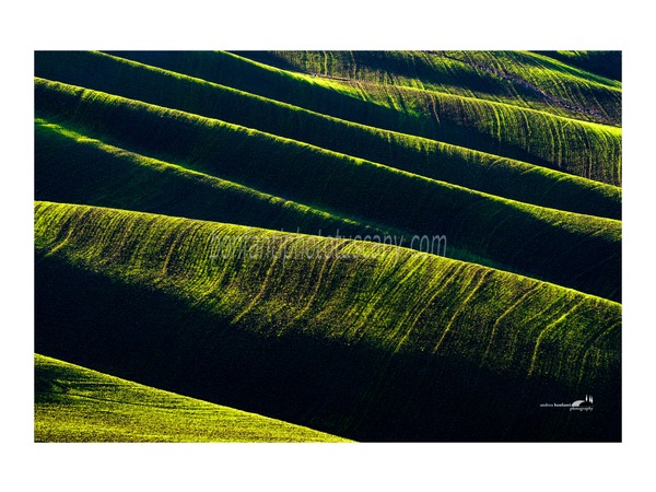 andrea bonfanti ph© crete senesi landscape - rhythm of the earth #2.jpg