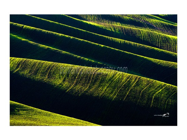 crete senesi landscapes photo tour with andrea bonfanti ph.