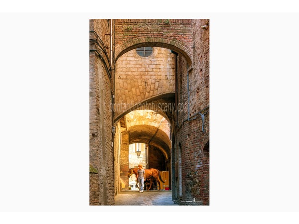 siena photo walk © andrea bonfanti ph.