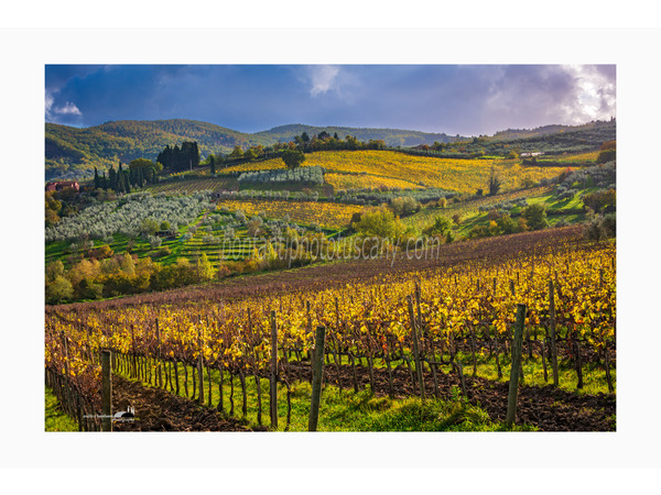 chianti fiorentino photo tour with andrea bonfanti ph.