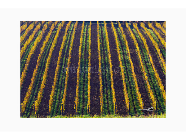 chianti fiorentino photo tour with andrea bonfanti ph.