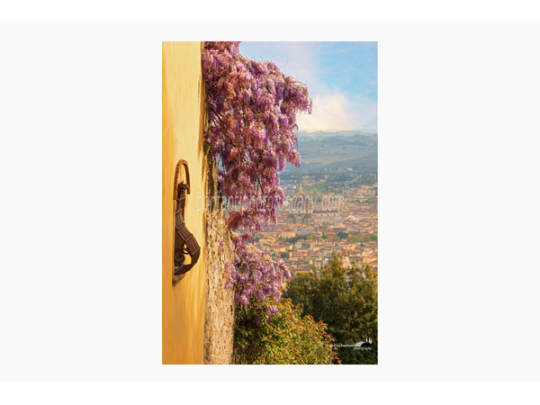 Tuscany Photo Tour The Hills Of Florence