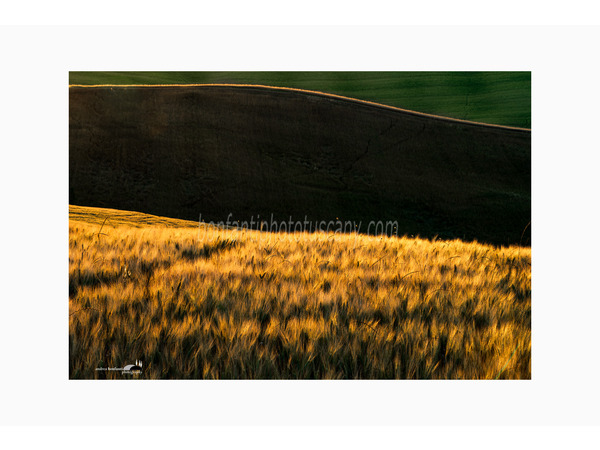 crete senesi alternate take photo tour © andrea bonfanti ph.