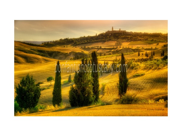 Tuscany Photo Tour i paesaggi della val d'Orcia