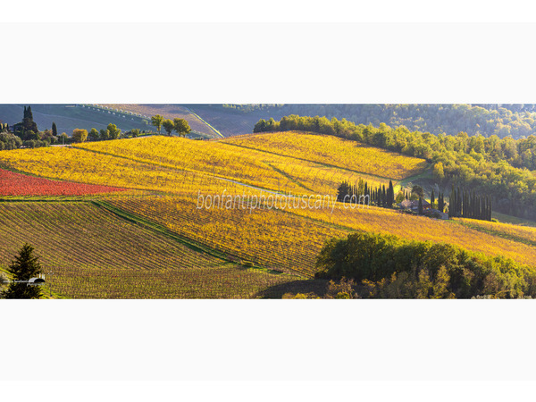 chianti fiorentino photo tour with andrea bonfanti ph.