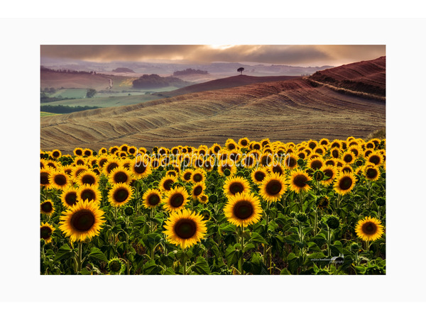 crete senesi alternate take photo tour © andrea bonfanti ph.