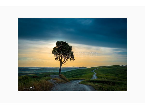 crete senesi landscapes photo tour with andrea bonfanti ph.
