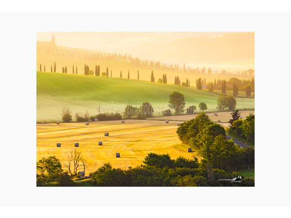 paesaggio primaverile a leonina nelle crete senesi.jpg