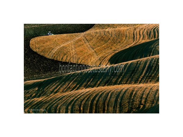 crete senesi landscapes photo tour with andrea bonfanti ph.