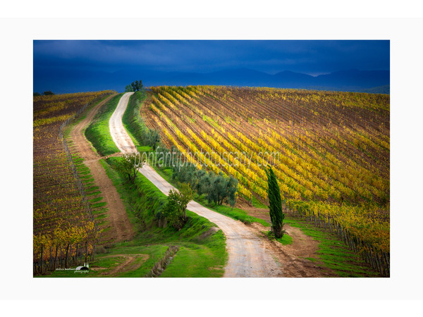 Tuscany Photo Tour vigneti e borghi del Chianti