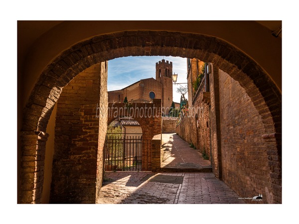 siena photo walk © andrea bonfanti ph.