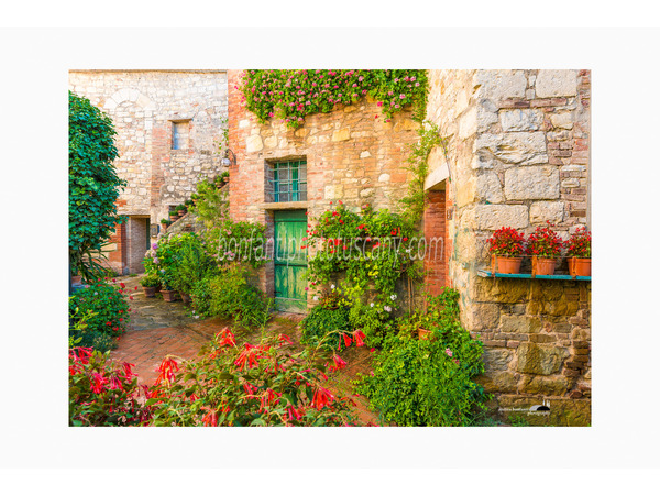 Tuscany Photo Tour vigneti e borghi del Chianti